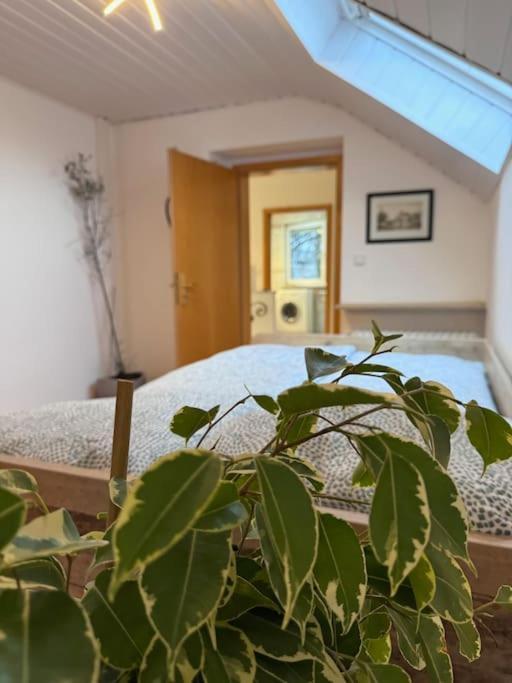 Appartement Casa Italia à Oberasbach Extérieur photo