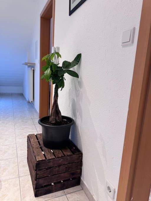 Appartement Casa Italia à Oberasbach Extérieur photo